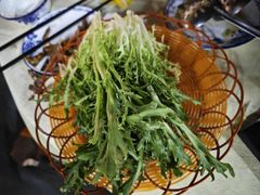 -一煲鸽