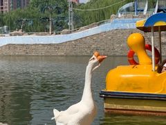 -团结湖公园