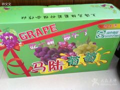 -马陆小张葡萄园农家乐