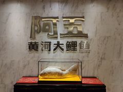 -阿五黄河大鲤鱼(纬三路店)