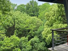 -西湖风景区-江洋畈生态公园