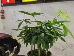 -太原茂业天地购物中心