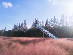 -嘉北郊野公园