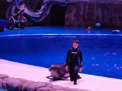 -华夏文旅海洋公园