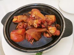子姜猪手-汇兴源餐馆(小北路店)