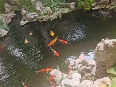 -鲤院·新中式美学·庭院餐厅(夫子庙店)