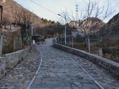 -大岭沟猕猴桃谷风景区