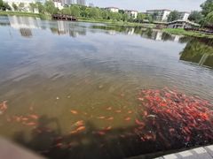 -西海子公园