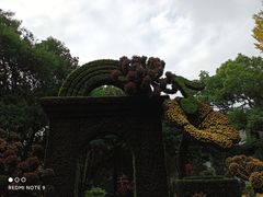 -汇龙潭