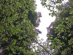 -成都杜甫草堂博物馆