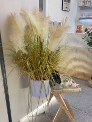 -MONICABOX美甲美睫