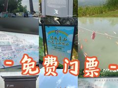 -浦江之首