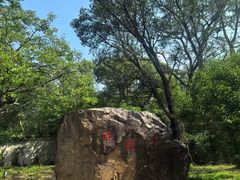 -无锡梅园公园