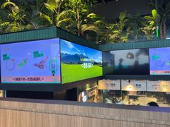 -大头椰·椰子鸡火锅(南宁万象城店)