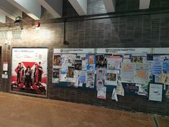 -香港大学