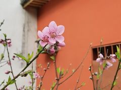 -乌山风景区