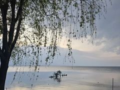 -野菌皇海景野生菌火锅(滨海大道店)