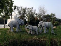 -武清南湖绿博园