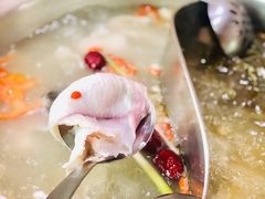 乌鱼火锅-三友乌鱼菜馆(金洲北路店)