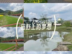 -径山花海
