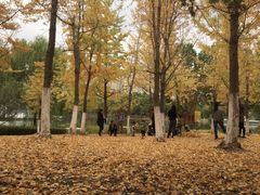 -白塘生态植物园