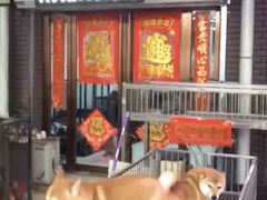 -中环花鸟鱼虫市场