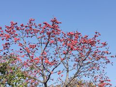 -云溪植物园