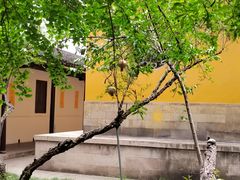 -西园戒幢律寺