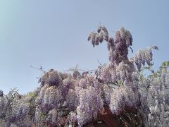 -迎泽公园