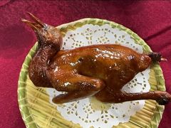 -麻奢鸽农庄·梦里水乡