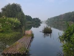 -合肥滨湖国家森林公园