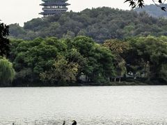 -柳莺湖上·湖景餐厅·江南菜(西湖店)