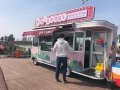 -荷兰花海