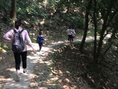 -西湖风景区十里琅珰-五云山