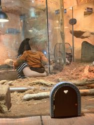 -Zoolung Zoolung动物主题公园(海信广场店)