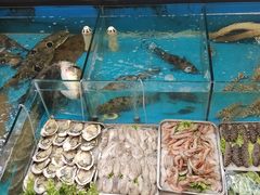 -中苑海韵
