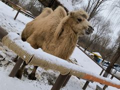 -北京野生动物园