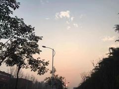 -白鹭湾湿地公园