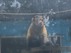 -秦皇岛野生动物园