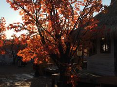 -Blue Concept Cafe&Farm·關於藍