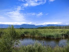-野鸭湖国家湿地公园