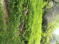 -终南山国家森林公园