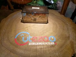 -酷嗒动物文化乐园(cutezoo西溪乐天城店)