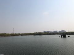 -大兴滨河森林公园