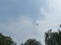 -大兴滨河森林公园