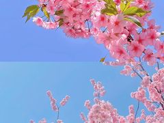-永安水煮活鱼·仪征淮扬菜