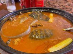 红煨甲鱼汤-潇湘甲鱼村(清河店)