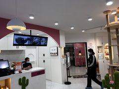 -喵园·猫主题咖啡厅·撸猫·猫咖(国贸店)