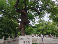 -北陵公园