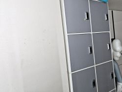 -米娜造型
